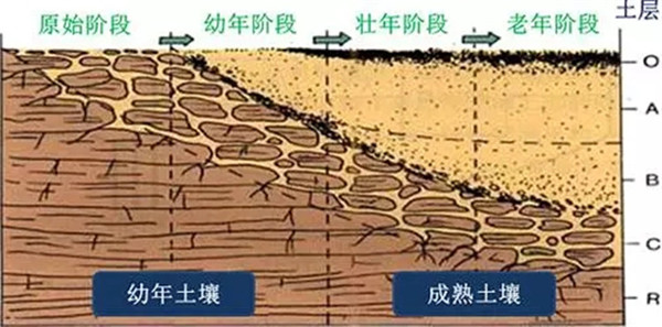 土壤養(yǎng)分檢測儀工作原理、技術(shù)和方法